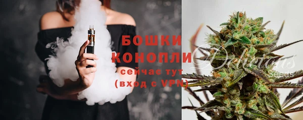 хмурый Гусев