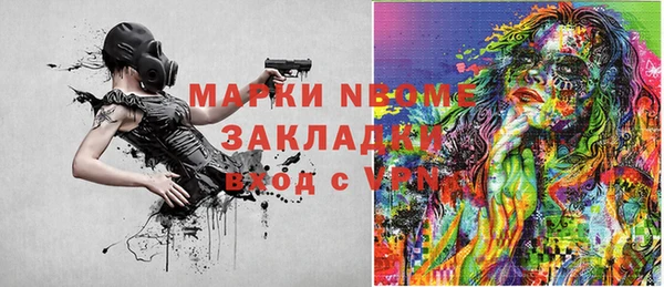 хмурый Гусев