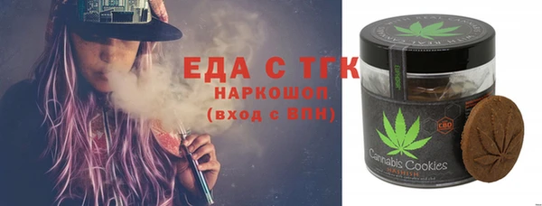 хмурый Гусев