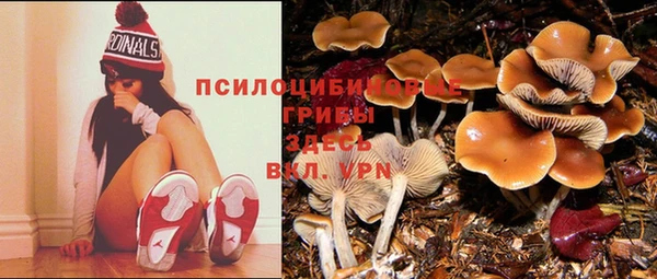 стаф Гусиноозёрск