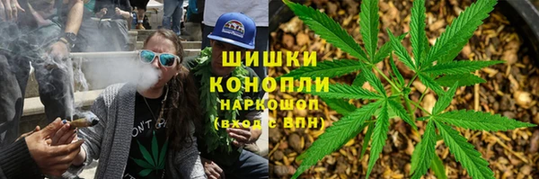 хмурый Гусев