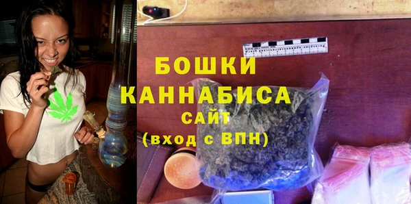 тгк Гусь-Хрустальный