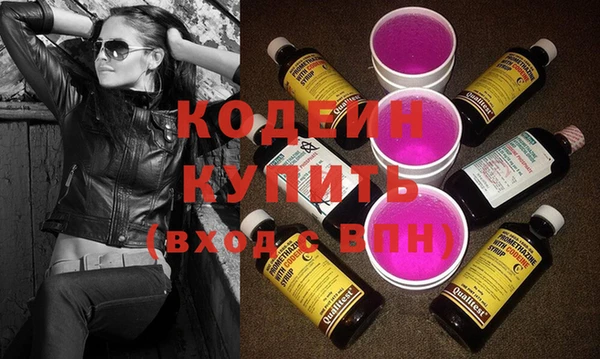 хмурый Гусев